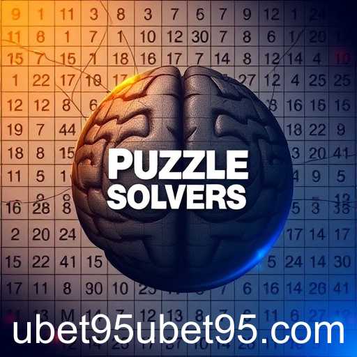 Puzzle Solvers